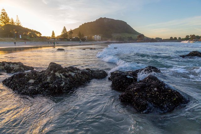 TRG, Tauranga, Bay of Plenty