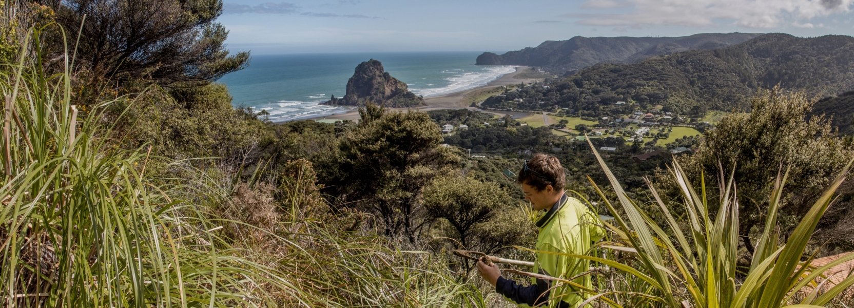 Geotechnical site investigation on a steeply sloping site for a residential dwelling in Piha, Auckland